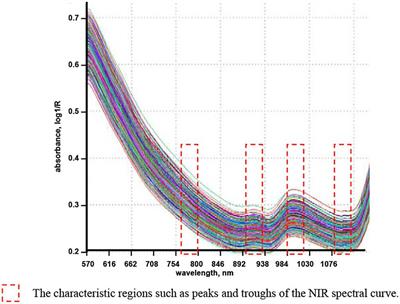 Design of a Phenotypic Sensor About Protein and Moisture in Wheat Grain